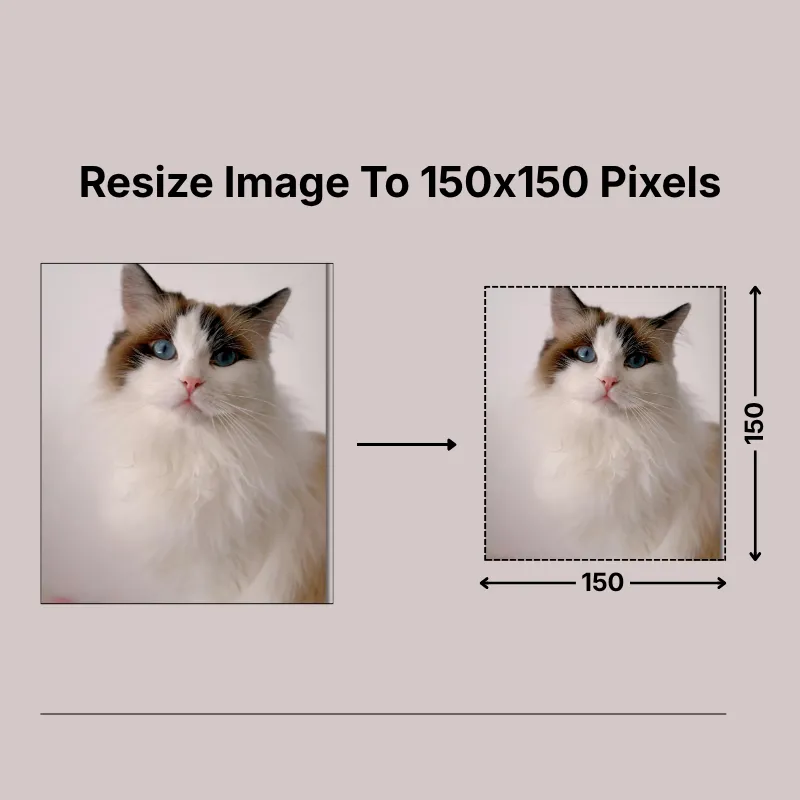 resize image to 150x150